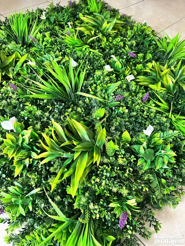 Vestacko cvece (Zeleni zidovi)