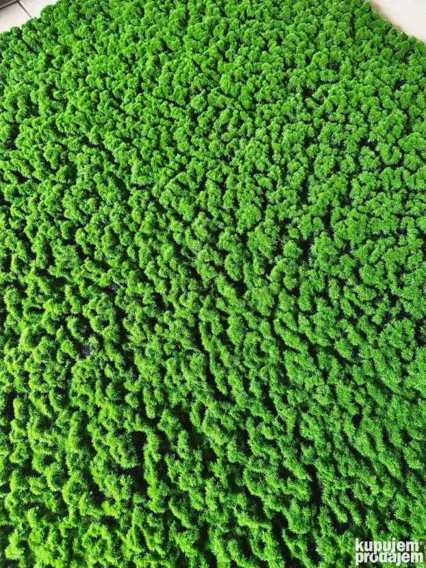 Vestacko cvece (Zeleni zidovi)