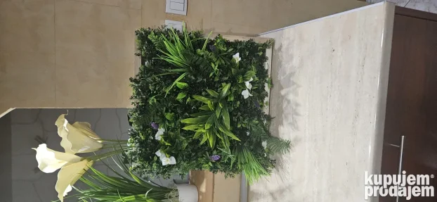 Vestacko cvece (Zeleni zidovi)