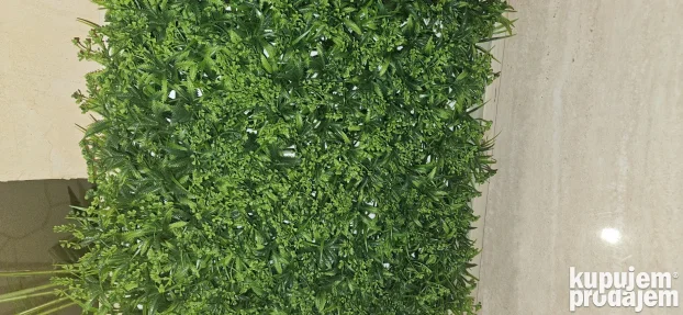 Vestacko cvece (Zeleni zidovi)