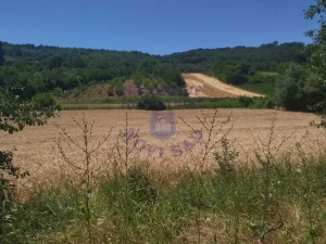 Beočin, Sviloš, 89 ar