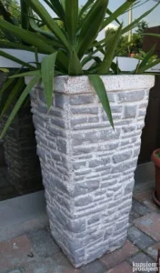Zardinjera visoka,saksija  betonska