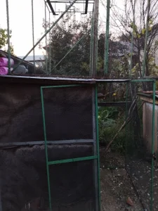 Свл