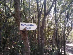 Hrvatska, Pula, 14.27 ar