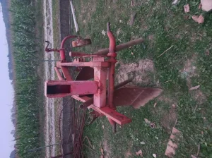 Dvobrazni Plug lav leopard