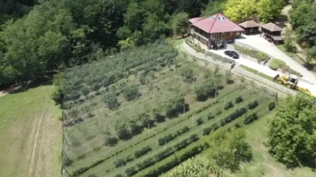 Loznica, Korenita, 5+ petosobna, 300 m²