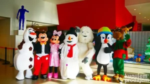 Sviram i pevam . . Vase rodjendane, proslave, svadbe, novogo