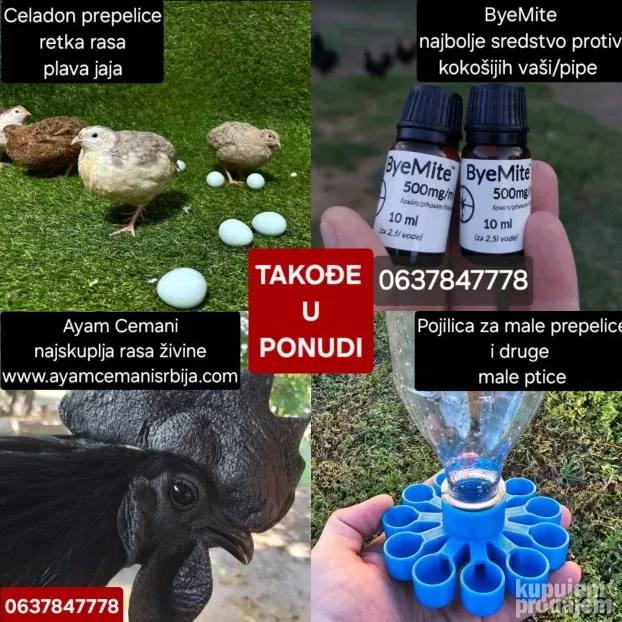 ByeMite (Bajmit) protiv vaši i spoljnjih parazita (kokoške)