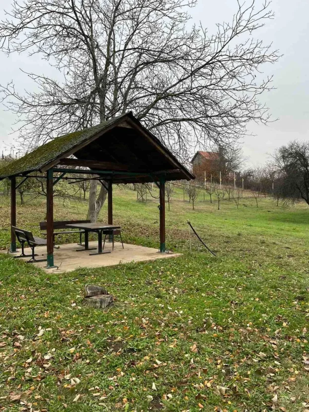 Slankamenački Vinogradi, Inđija, Krčedin, 4.0 četvorosobna, 120 m²