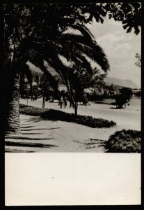 Makarska  q95