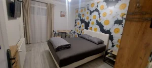 Izdajem apartman studio Užice