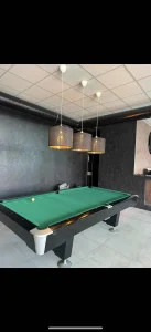 Pionir 9 bilijar