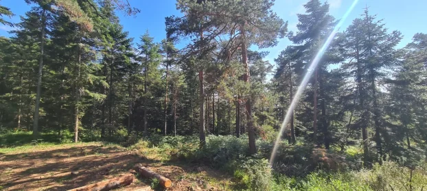 Ljuti Krš, Valjevo, Divčibare, 220 ar