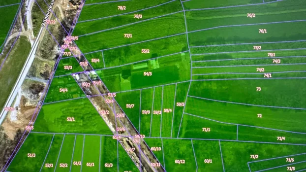 savska, Ostružnica, 46 ar