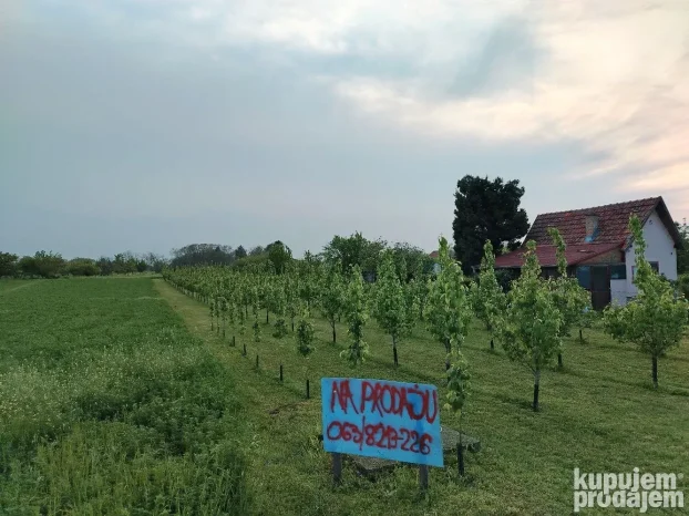 Titel, Širi centar, 15 ar