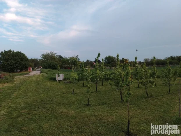 Titel, Širi centar, 15 ar