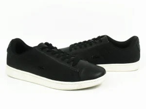 Lacoste patike  P3628