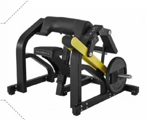 biceps masina plate loaded