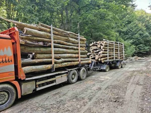 Drva Produženi ogrev bukva/cer/hrast