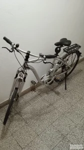 Električna bicikla Flyer