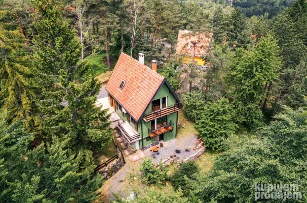Nirvana Čudesni bor Divčibare do 10 osoba Kuća u šumi