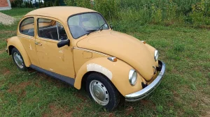 Volkswagen Beetle
