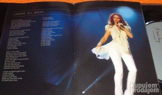 Celine Dion Live in Las Vegas A new day