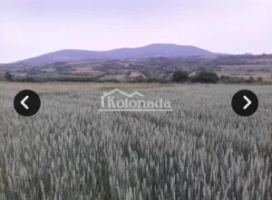 Poljoprivredno zemljište u Nemenikuće na prodaju!