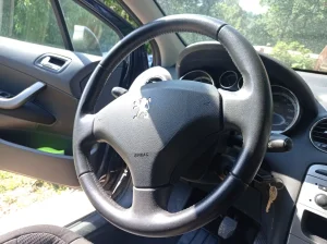 Peugeot Pezo Pežo 308 Enterijer