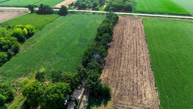 Čenej, jednosobna, 54 m²