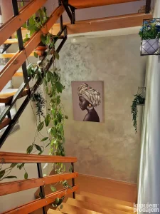 Apartman Aurora Golubac