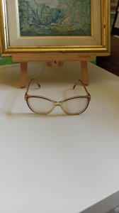 Diane de Carlo,dioptrijske naočare