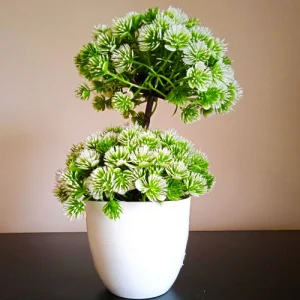 Genesis plant - veštačka dekorativna biljka