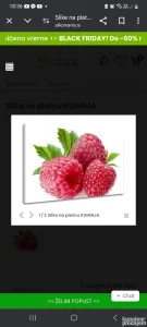 Potrebni radnici za berbu maline