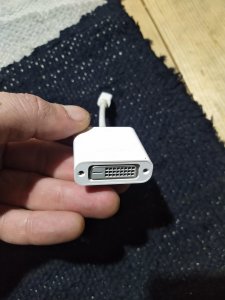 Mini DisplayPort to DVI Adapter - A1305
