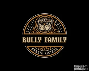 American bully exotic mužijak slobodan za prenje