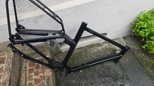 raleight impulse motor XXL