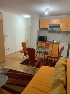 stan na dan niš centar( kod pravnog fakulteta)