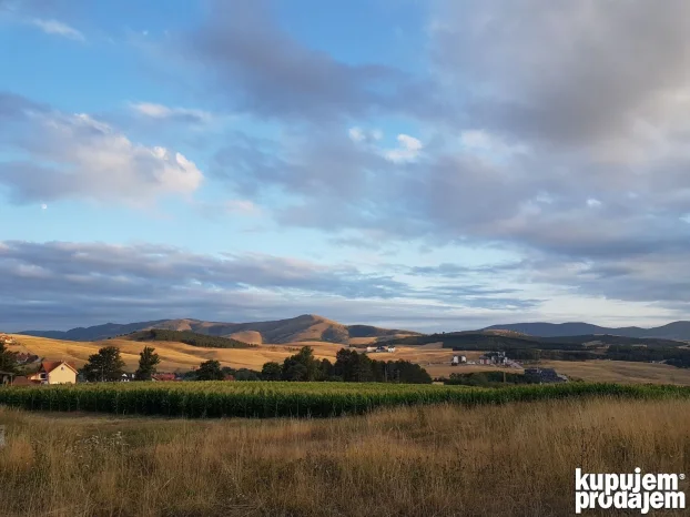 Planinski reset Zlatibor (u tišini - van centra)