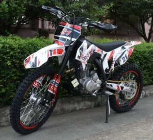 Motor 250cc cros ( croserica)