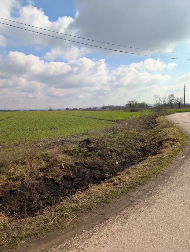 Stepojevac, izuzetan plac, 240 ari, blizina Beograda