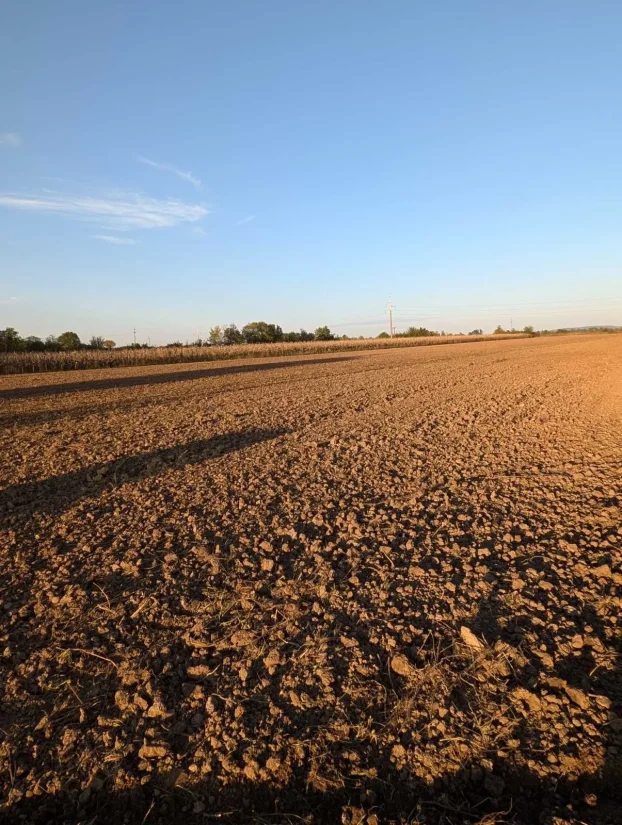 Stepojevac, izuzetan plac, 240 ari, blizina Beograda