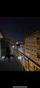 Penthaus Slavija Makenzijeva 91.6 m2, parking mesto, vlasnik