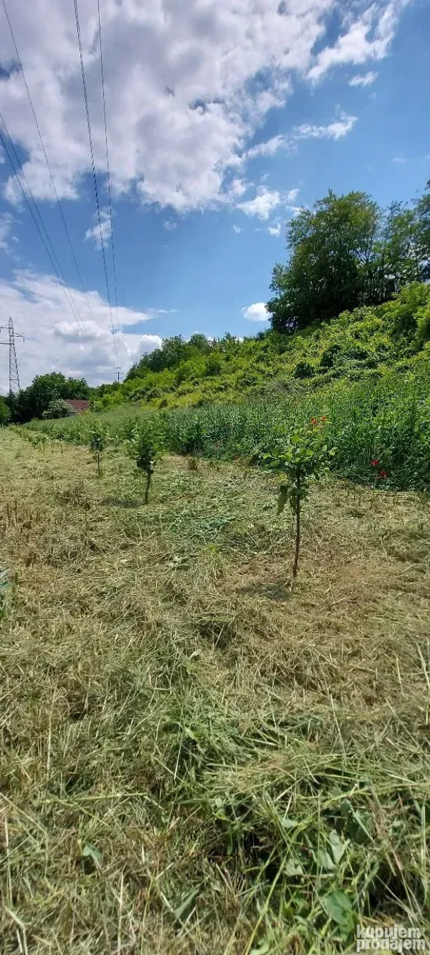 Krcenje placeva zemljista