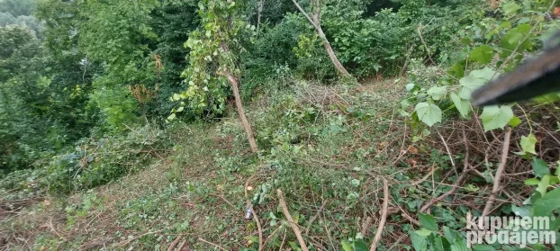 Krcenje placeva zemljista