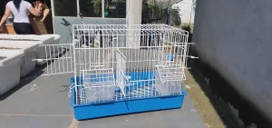 Plastificirane parilice razne dimenzije