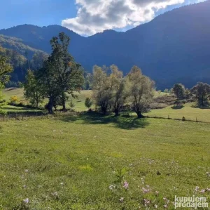 Nacionalni park Tara, Rastiste