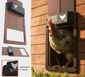 Automatska vrata za kokošinjac