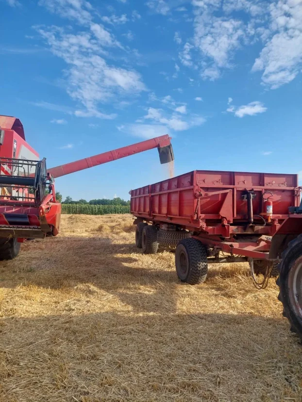 Kombajn Massey Ferguson 7256