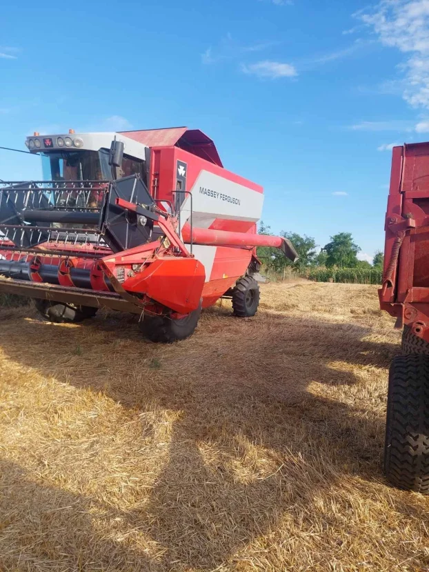 Kombajn Massey Ferguson 7256